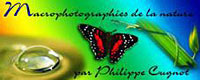 La banni�re du site de Philippe Cugnot