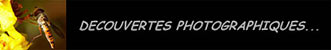 La banni�re du site de Eric Delhommeau