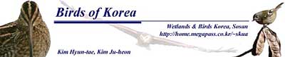 La banni�re du site de Kim Hyun-Tae