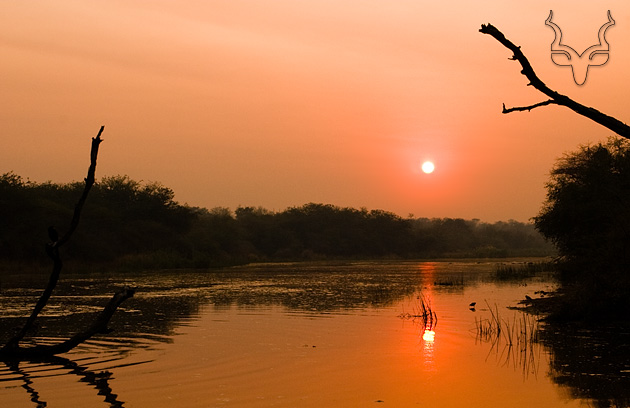 Photo de Lake Panic, Kruger National Parc