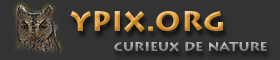 Bannière du site ypix.org