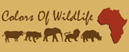 Bannière du site du Colors Of Wildlife