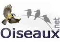 La bannière du site oiseaux.net