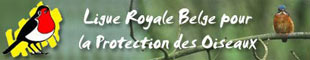 La bannière du site de la Protection des Oiseaux Belge