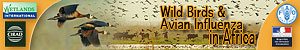 La bannière du site Wild birds and avian influenza in Africa