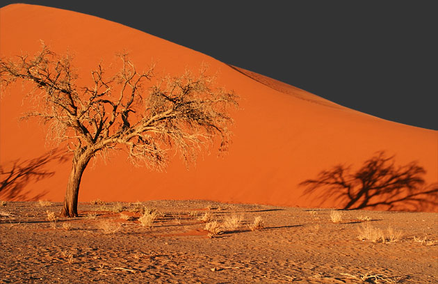 Photo de la dune 45 en Namibie