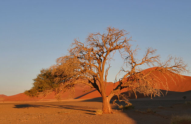 Photo de namibie, les dunes de Sossusvlei